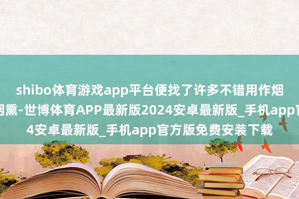 shibo体育游戏app平台便找了许多不错用作烟熏驱蚊的材料进行烟熏-世博体育APP最新版2024安卓最新版_手机app官方版免费安装下载