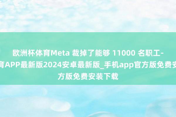 欧洲杯体育Meta 裁掉了能够 11000 名职工-世博体育APP最新版2024安卓最新版_手机app官方版免费安装下载