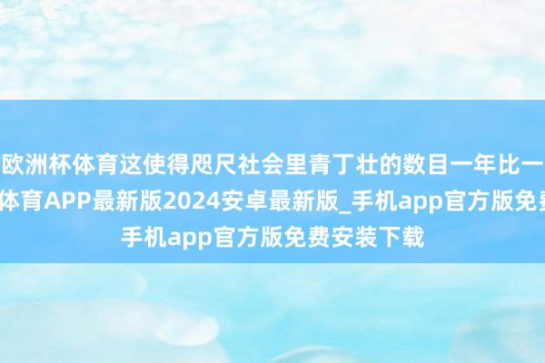 欧洲杯体育这使得咫尺社会里青丁壮的数目一年比一幼年-世博体育APP最新版2024安卓最新版_手机app官方版免费安装下载