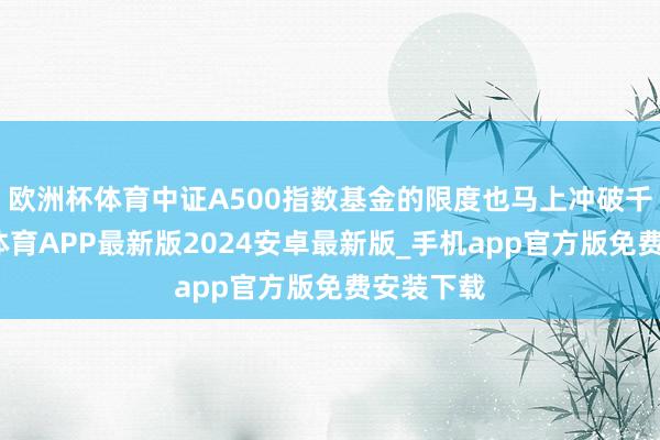 欧洲杯体育中证A500指数基金的限度也马上冲破千亿-世博体育APP最新版2024安卓最新版_手机app官方版免费安装下载