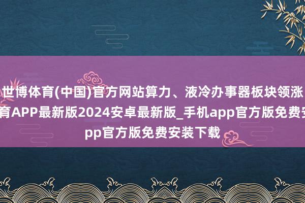 世博体育(中国)官方网站算力、液冷办事器板块领涨-世博体育APP最新版2024安卓最新版_手机app官方版免费安装下载