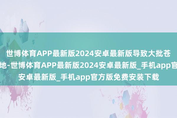 世博体育APP最新版2024安卓最新版导致大批苍生伤一火和流寇异地-世博体育APP最新版2024安卓最新版_手机app官方版免费安装下载