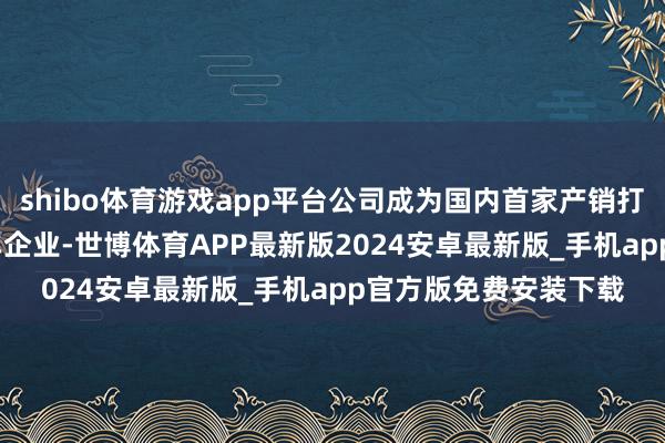 shibo体育游戏app平台公司成为国内首家产销打破2800万辆的乘用车企业-世博体育APP最新版2024安卓最新版_手机app官方版免费安装下载