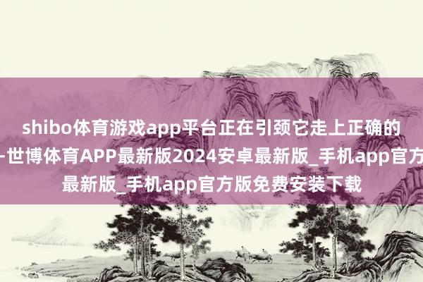 shibo体育游戏app平台正在引颈它走上正确的各异化发展谈路-世博体育APP最新版2024安卓最新版_手机app官方版免费安装下载