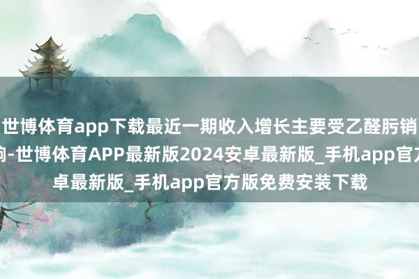 世博体育app下载最近一期收入增长主要受乙醛肟销量和价钱升迁影响-世博体育APP最新版2024安卓最新版_手机app官方版免费安装下载